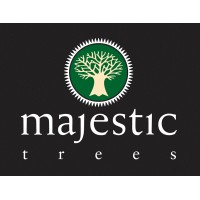 Majestic Trees Logo