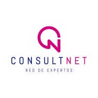Consultnet Srl Logo