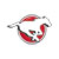 Calgary Stampeder Football Club Logo