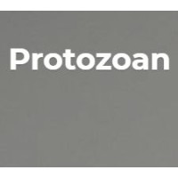 Protozoan Logo