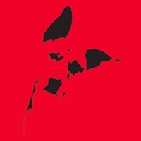 Brown Dog Consulting Logo