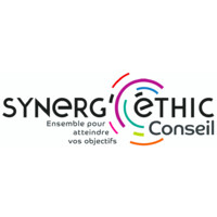 SYNERGETHIC Conseil Logo