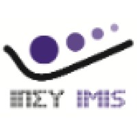 Institute for the Management of Information Systems Logo