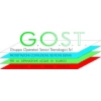 G.O.S.T. srl Logo