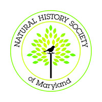 Natural History Society of Maryland Logo