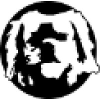 Social Animal Studios Logo