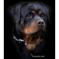 Excella Kennels Logo