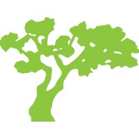 Botanical Designs Logo