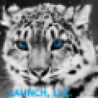 www.launchitbig.com Logo