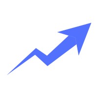 ViziblyDigital Logo