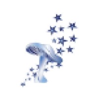 Magic Mushroom Cinema Logo