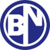 Blue Nickel Solutions Logo