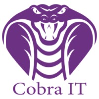 Cobra IT, LLC Logo