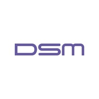 DSM Design Ltd Logo