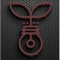 Bonska Consultancy Ltd. Logo