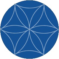 Deep Blue Institute Logo