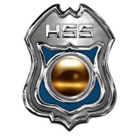 Homeland Safety Systems Logo