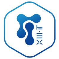 XIII-IT Logo