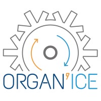 OrganIce Logo