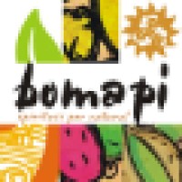 Bomapi s.r.l. Logo