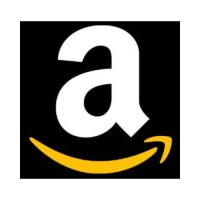 Amazon Wholesale Dude Logo