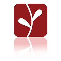 Verity Consulting Logo