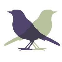 Two Birds Consulting Pty Ltd Logo