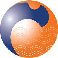 BNG NGO Services Online Logo