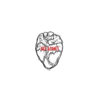 NO ADMIT Logo