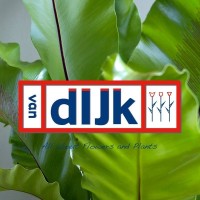 Van Dijk Bloemen B.V. Logo