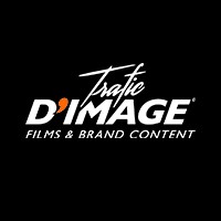 Trafic dImage Logo