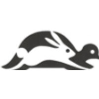 Hare & Tortoise Consulting Logo