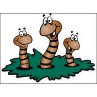 Kootenay Worm Composting Logo