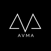 American Ventures Mergers and Acquisitions (AVMA) Logo