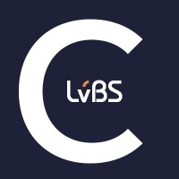 LvBS Consulting Logo