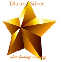 Dhruv Silver Logo
