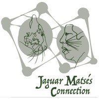 Jaguar Matsés Connection Logo