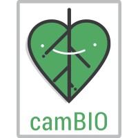 Cambio Colectivo Mx Logo