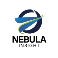 Nebula Insight Logo
