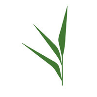 All-Nutrient Logo