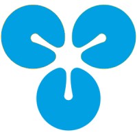flow-r executive search Logo
