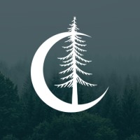 Timber Dark Design Logo
