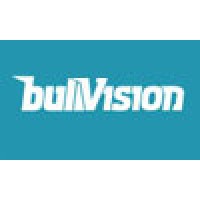 bullVision Logo