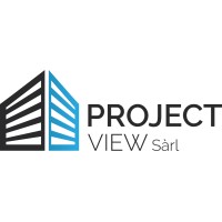 ProjectView Logo