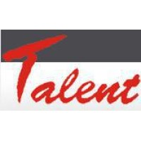 大连泰伦管理咨询有限公司 Logo