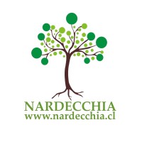 NARDECCHIA CS Logo
