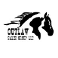 Outlaw Sales Group LLC Logo