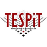 Tespit Engineering & Earth Sciences Logo