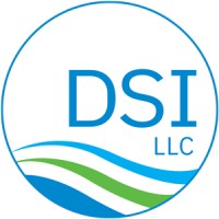 DSI, LLC Logo