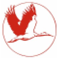 BOUGEVILLE CONSULTING Logo